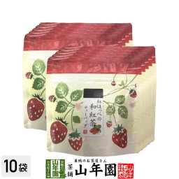 国産 静岡県産 紅ほっぺ（いちご）の和紅茶 10g(2g×5)×10袋セット ティーパック ティーバッグ いちご紅茶 ストロベリーティー 健康茶 妊婦 ダイエット セット ギフト プレゼント プチギフト お茶 敬老の日 2026 内祝い お返し