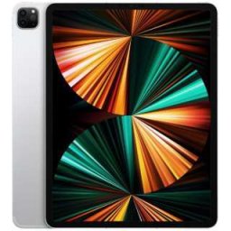 [新品未開封]Apple iPad Pro 12.9インチ 第5世代 Wi-Fi 256GB シルバー　銀 2021年 MHNJ3J/A 4549995208443