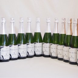 12本セット(長野県産100％辛口スパークリング白ワイン オアシス ミュゼドゥヴァン3 ブラッククイーン(ソーヴィニヨンブラン60%・シャルドネ25%・ゲヴェルツトラミナー15%)) 750ml×12本