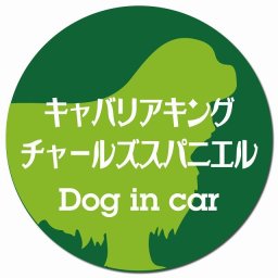 Dog in car キャバリアキングチャールズスパニエル レトロ書体 グリーン カーサイン 車 マグネットステッカー 犬 マグネット 強力 直径13cm 丸型 おしゃれ かわいい ドラレコステッカー 安全対策 危険運転 煽り運転 アニマル 動物 犬種別 屋外 防水 屋内