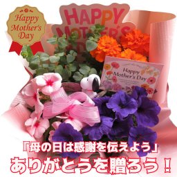 スヌーピー好きなお母さんへ 母の日 鉢植え スヌーピー キャラクター 季節のお花お任せ スヌーピー入 母の日 花 人気 プレゼント スヌーピー色・種類はおまかせです