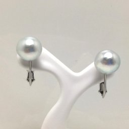 真珠 イヤリング パール アコヤ真珠 9.5mm ホワイトシルバーブルー（ナチュラル） シルバー 73417 イソワパール