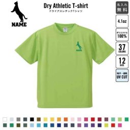 アメリカンショートヘアー3  名入れドライTシャツ お名前入り 練習着 レディース メンズ ウェア トップス 運動着 スポーツウェア ジョギング 吸汗速乾 チームTシャツ クラスTシャツ UVカット ピクトグラム 猫　ネコ　ねこ　キャット　ペット