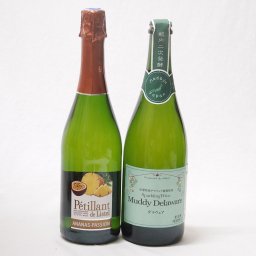 果物ワイン2本セット(ペティアン ド リステル（ パイナップル＆パッションフルーツ）3.5度(フランス) マディデラウエア スパークリングワイン9度(山梨県)) 720ml×1本 750ml×1本
