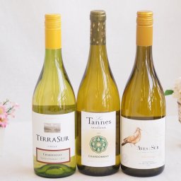 産地別白ワインシャルドネ3本セット(テラスル(チリ) ビーニャ デル デルスール(チリ) レ タンヌ オクシタン(フランス)) 750ml×3本