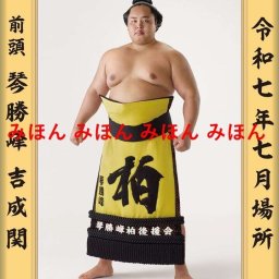 琴勝峰 吉成 関　優勝ミニ額 大相撲 ミニ額 大相撲 優勝額　令和７（２０２５）年７月場所 優勝 前頭 琴勝峰 関（初優勝）優勝記念品 相撲グッズ 力士グッズ 相撲取りグッズ 国技館 限定品 記念品 コレクション 写真 R0707