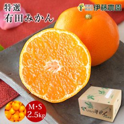 お中元 暑中見舞い ギフト 誕生日 結婚祝い 出産祝い 内祝い ギフト 正月 年始 みかん 2.5kg 贈答用 秀品 特選 送料無料 和歌山 S M 小粒 中粒 手詰め 有田みかん 温州みかん ご当地 お出産内祝い 贈答 ギフト