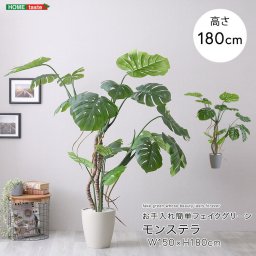 観葉植物 フェイクグリーン モンステラ Lサイズ(180cm) 鉢付き 完成品 人工観葉植物 お手入れ簡単 水やり不要 リアル 南国 室内 インテリア 玄関 リビング オフィス お祝い プレゼント