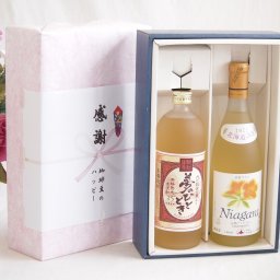 実りの秋の贈り物 感謝の贈り物ボックス プレミアムな麦焼酎と国産ワインセット(北海道の詩 完熟ナイヤガラ白ワイン 甘口(北海道)720ml夢のひととき熟成麦焼酎25°(大分県)720ml