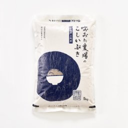 令和5年産 こしいぶき 【玄米】