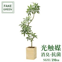 フェイクグリーン 人工観葉植物 ウッドボックスパキラ2.1m(組立式) 2304a980 一部地域送料無料 光触媒 インテリア 代引き不可