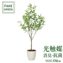 フェイクグリーン 人工観葉植物 フレッシュ細葉ユーカリ1.7m 2329a500 一部地域送料無料 光触媒 インテリア 代引き不可