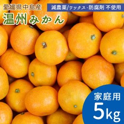 産地直送 温州みかん 甘小粒 5kg 60～80個 家庭用 小玉 S・2Sサイズ ミカン 5キロ 国産 島みかん 瀬戸内海 愛媛県 中島産 希望の島産 産直 減農薬 ノーワックス 防腐剤不使用【送料無料】
