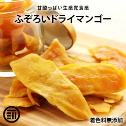 前田家 ドライマンゴー フィリピン セブ島産 無着色 着色料不使用 ドライフルーツ 栄養 レシピ ヨーグルト シリアル トッピング グラノーラ 防災食 非常食 保存食 業務用 家庭用 お徳用 送料無料