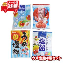 (全国送料無料)お菓子 詰め合わせ 暑い日の塩分補給に！ウメ塩飴4種セット メール便 (omtmb9843)【送料無料 詰め合わせ おやつ 小袋 個包装 お試し】