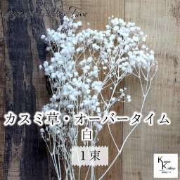 大地農園！プリザーブドフラワー 「カスミ草・オーバータイム 白 1束」プリザ カスミソウ カスミ草  花材 ハーバリウム おしゃれ かわいい プレゼント 贈り物 オオチノウエン