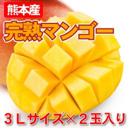 完熟マンゴー フルーツ（3L×2玉）果物  夏ギフト