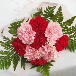 赤とピンクのカーネーションの花束・母の日に