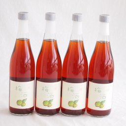 4本セット(文蔵の梅酒 熟成梅酒 18度 (熊本)) 720ml×4本