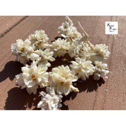 プリザーブドフラワー フラワーコーン  20g「白」 ギフト お祝い 花材  ドライフラワー　プリザーブドフラワー 花材 プリザ アレンジ 資材