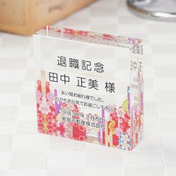 思いでクリスタル DW-22P 大 カラー印刷 感謝 退職記念 