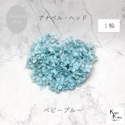 メール便で発送 大地農園！プリザーブドフラワー 「ソフトアナベルアジサイ ベビーブルー 1輪分」 プリザ アジサイ 紫陽花 花材 ハーバリウム おしゃれ かわいい プレゼント 贈り物 オオチノウエン アナベルアジサイ・ヘッド