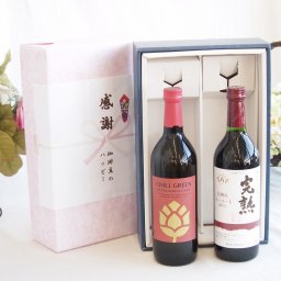 実りの秋の贈り物 感謝の贈り物ボックス マーガオの柑橘香麦焼酎と国産ワインセット(おたる醸造 赤ワイン 甘口(北海道)720ml濱田酒造 麦焼酎 チルグリーン ビター＆トロピカル(長崎県) 750ml