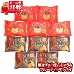 (全国送料無料)お菓子 詰め合わせ 銀の汐 焼きチョコまんじゅう5個・フルーティトマトパイ5個・計10個 メール便 (omtmb9839)【送料無料 詰め合わせ おやつ 小袋 個包装 お試し】