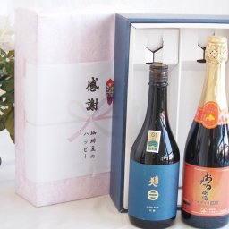実りの秋の贈り物 感謝の贈り物ボックス 上品な香り南部美人と国産ワインセット(おたる醸造 キャンベル赤スパークリングワインやや甘口(北海道)720ml日本酒南部美人吟醸 (岩手県)720ml