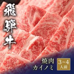 飛騨牛 焼肉 カイノミ 600g 牛肉 和牛 高級 ブランド牛 肉 お肉 国産 お取り寄せ グルメ ギフト プレゼント お中元 お歳暮 内祝い 御礼 贈答用 贅沢 霜降り 赤身 稀少部位 焼き肉 BBQ