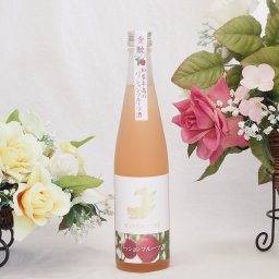 金鯱日本酒ブレンド 知多半島のパッションフルーツ酒(愛知県) 500ml×1本
