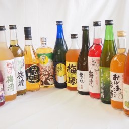 豪華梅酒12本セット(おばあちゃんの梅酒 芋焼酎仕込五代梅酒(鹿児島) 宇治玉露梅酒(京都) 赤しそ赤い梅酒(和歌山) 樽熟梅酒天空の月(大分) 鍛高譚梅酒 梅酒 鶯の杜(奈良) 文蔵梅酒(熊本) 芳醇ブランデー仕立チョーヤ梅酒 蜂蜜梅酒(和歌山) 無添