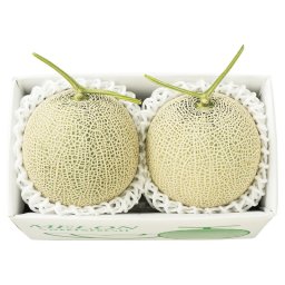 お歳暮・冬ギフト 冬の温室マスクメロン 2玉 (2612498) ※送料無料(北海道・沖縄・離島への配送不可)