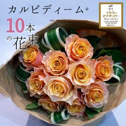 オレンジバラ10本の花束 カルピディーム+ 送料無料 送料込み 珍しい 豪華 オレンジのバラ ローズブーケ 薔薇 ばら ギフト 花束 母の日 母の月 プレゼント 記念日 花言葉 Carpe diem「今を大切に」■花束■