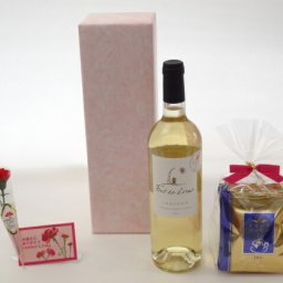 母の日 ギフトセット ワインセット 挽き立て珈琲(ドリップパック5パック)(金賞受賞ワイン　白ワイン(フランス)750ml)母の日カード お母さんありがとうカーネイション