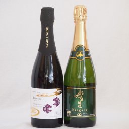 スパークリングワイン飲み比べ2本セット(ナイアガラスパークリング白ワインやや甘口 京都丹波産スパークリング赤ワイン中口) 720ml×2本