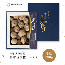 大分県産原木栽培乾しいたけ 「特選 どんこ 箱 290g」 干し椎茸 干ししいたけ 国産 しいたけ 健康 産地直送 お歳暮 冬の贈り物 お中元 夏の贈り物 敬老の日 おひな様 母の日 御祝 引き出物 快気祝い 新築祝い 引っ越し祝い 記念日 還暦祝い 姫野一郎商店