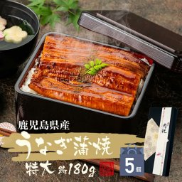 【国産100%】鹿児島県産 特大うなぎ蒲焼 約180g×5袋セット たれ 山椒付き うなぎのかば焼き うなぎの蒲焼き 鰻蒲焼 国産うなぎ 健康 ダイエット ギフト プレゼント 敬老の日 2026 プチギフト お茶 内祝い 通販 土曜の丑の日