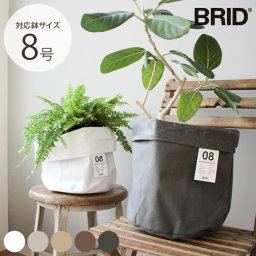 BRID ブリッド Olika プランターカバー 8号
