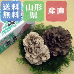 【送料無料】「黒舞茸＆とび色舞茸セット」 山形県【お誕生日祝い 内祝い 初節句 結婚祝い 引き出物 出産祝い 快気祝い お供え物 景品 賞品】【お歳暮 ハロウィン】