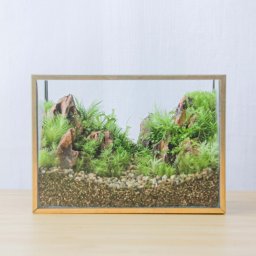 フィギュアなし_山岳の風景 メタルフレームL 父の日 母の日 お誕生日 還暦 敬老の日 内祝い ギフト お祝い 御祝い プレゼント 苔 テラリウム 観葉植物 インテリア ミニチュア 盆栽