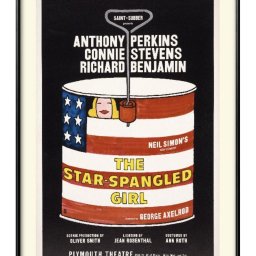 MITポスター The Star-Spangled Girl A3 サイズ ポスター アート おしゃれ 絵画 インテリア 北欧 イラスト マット紙 艶消し アートパネル 額 フレーム デザイン 壁掛け ギフト 新築祝い ディスプレイ 引越し祝い　新生活　空間デザイン 
