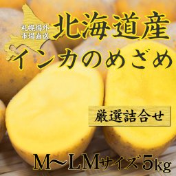 インカのめざめ 5kg 新 じゃがいも  ジャガイモ インカ 馬鈴薯 北海道 札幌中央卸売市場 インカの目覚め 母の日 ギフト プレゼント 人気 お取り寄せ
