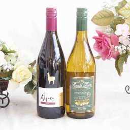 人々に愛されチリ赤白ワイン 2本セット(アルパカ シラー赤 フエンテ フルータ シャルドネ白) 750ml×2本