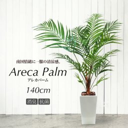 人工観葉植物 フェイクグリーン 観葉植物 造花 光触媒 大型 アレカパーム 140cm Ｍ陶器鉢付 アレカヤシ フェイク グリーン インテリア おしゃれ CT触媒 お祝い 父の日 Areca[fd]