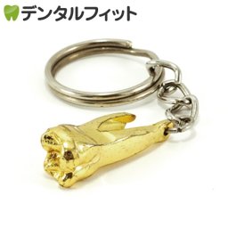 キーホルダー ゴールド臼歯