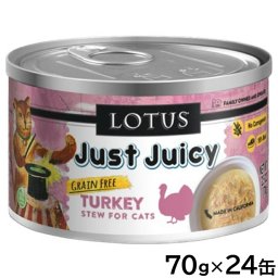ロータス キャットフード グレインフリー 無水調理ウェットフード ターキー シチュー 70g×24缶セット 無添加 缶詰