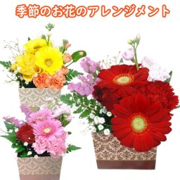 お花 ギフト 花 1500円 ミニアレンジメント ミニギフト 卒園 卒業 送別 昇進 誕生日 女性 女性用プレゼント ピンク パープル 花ギフト アレンジメント ボックス お祝い 開店祝い 開業祝い 移転祝い 還暦 フラワーギフト お花の プレゼント