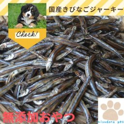 犬 おやつ 無添加 きびなごジャーキー５０ｇ×２個 国産 きびなご キビナゴ 魚 猫 ネコ ペット ジャーキー オヤツ 高級 プレゼント ギフト 低カロリー アレルギー シニア 小型犬 犬・猫おやつ