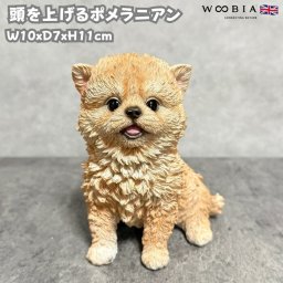 犬 置物 小さい かわいい おしゃれ 頭を上げるポメラニアン 動物 オブジェ インテリア woobia ウービア イヌ ガーデン トイレ プレゼント 北欧 玄関 雑貨 モダン 面白い 庭 ギフト 屋外 家 リアル 卓上 ガーデンオーナメント